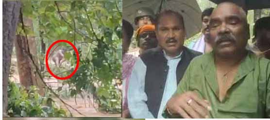 मुख्यमंत्री विष्णु देव साय की संवेदनशीलता और तत्परता से बाढ़ से राधेलाल नाग की बची जान