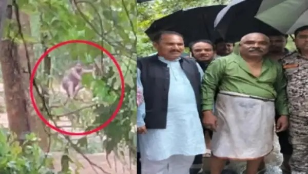 जान जोखिम में डालकर नदी पार कर रहे थे अंतागढ़ नगर पंचायत अध्यक्ष: कार को ही बहाकर ले गया सैलाब, CM साय की तत्परता से बची जान, किया गया रेस्क्यू जान जोखिम में डालकर नदी पार कर रहे थे अंतागढ़ नगर पंचायत अध्यक्ष: कार को ही बहाकर ले गया सैलाब, CM साय की तत्परता से बची जान, किया गया रेस्क्यू