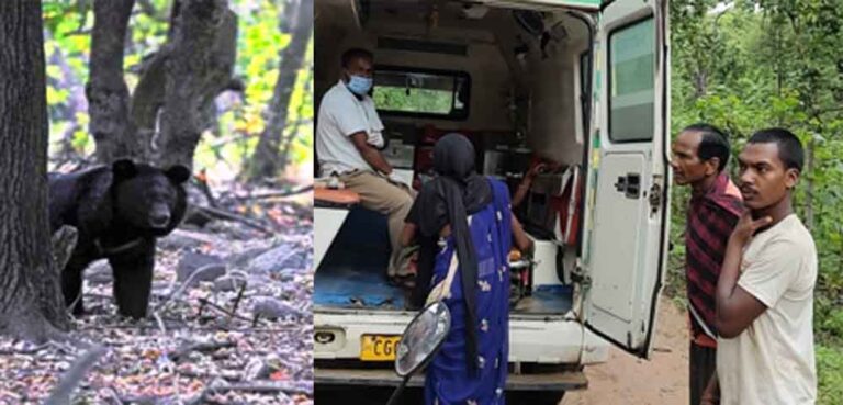 छत्तीसगढ़-मरवाही में भालुओं ने दो लोगों पर किया हमला, ग्रामीणों में फैली दहशत
