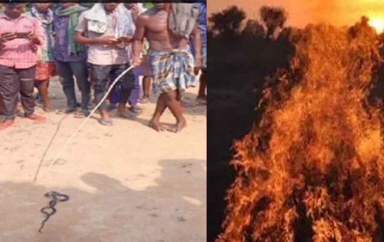 छत्तीसगढ़-कोरबा में जिस सांप के डसने से हुई मौत, चिता में उसे भी जिंदा जलाया छत्तीसगढ़-कोरबा में जिस सांप के डसने से हुई मौत, चिता में उसे भी जिंदा जलाया