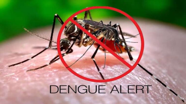 दिल्ली में डेंगू के मामले बढ़े, 24 घंटे में दो मरीजों की मौत दिल्ली में डेंगू के मामले बढ़े, 24 घंटे में दो मरीजों की मौत