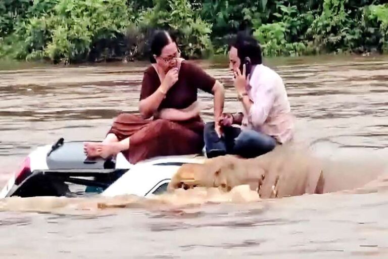 गुजरात में बारिश के बीच डूबी कार में 2-4 घंटे फंसे रहे दंपत्ति, आखिरकार बचाए गए