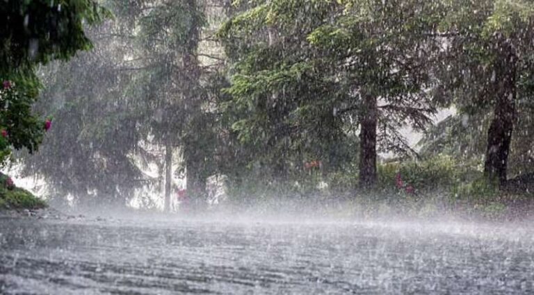 हिमाचल और कश्मीर में बर्फबारी, मैदानी इलाकों में बारिश का सिलसिला जारी