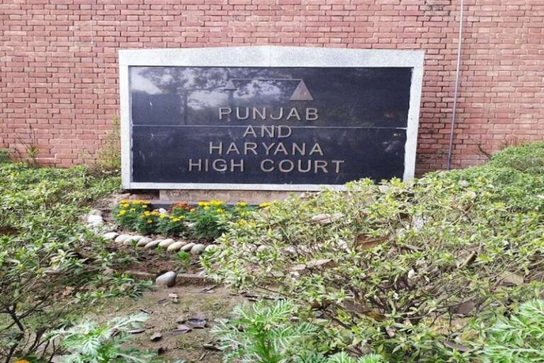 पत्नी को पोर्न देखने की लत, पति को कहा हिजड़ा, छह साल से अलग रह रहे दंपत्ति को मिला तलाक