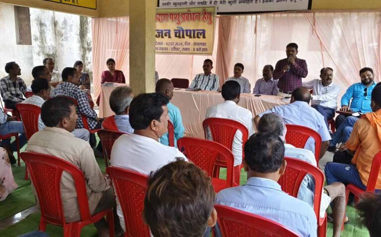 समवेत प्रयासों से जिले में आवारा पशुओं का हो रहा बेहतर प्रबंधन