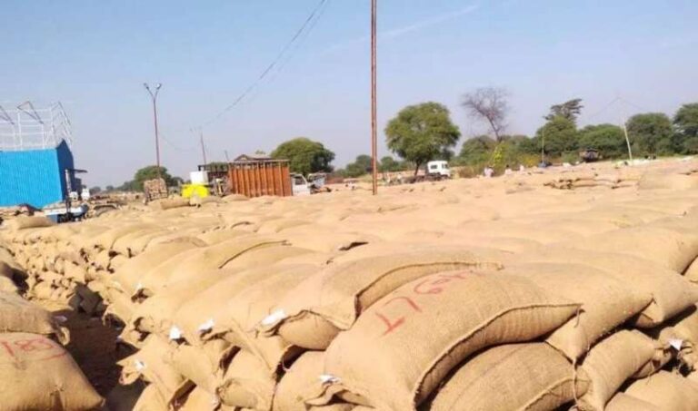  धान उपार्जन केन्द्र बहुउद्देशीय प्राथमिक ऋण समितियां (पैक्स) का होगा गठन