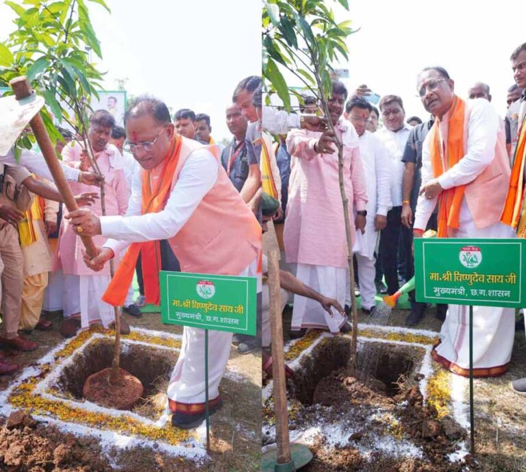 मुख्यमंत्री विष्णु देव साय ने एक पेड़ मां के नाम अभियान के अंतर्गत लगाया केसर आम का पौधा