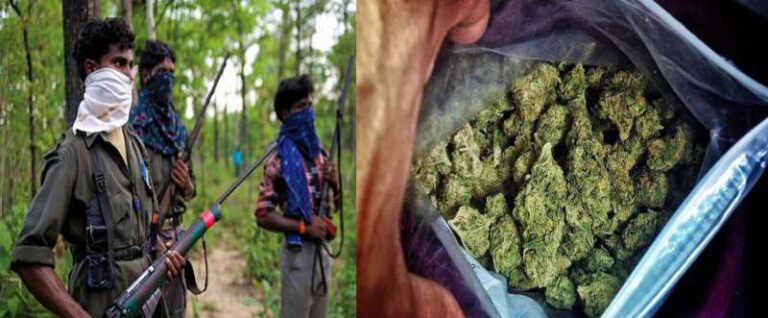 क्राइम ब्रांच की बड़ी कार्रवाई: दिल्ली में नक्सलियों से गांजा खरीदने वाले 5 आरोपी गिरफ्तार