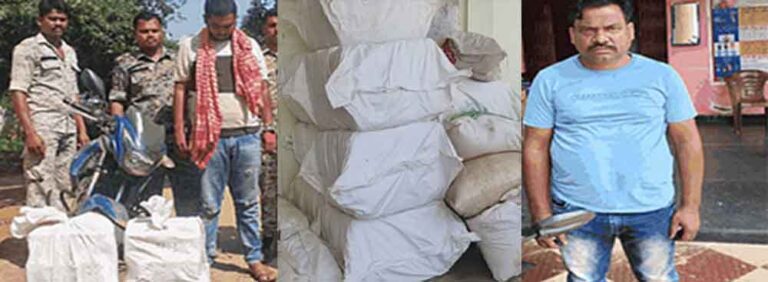 छत्तीसगढ़ में नशे पर वार, कोंडागांव में 60 हजार और सुकमा में 25 हजार का गांजा जब्त