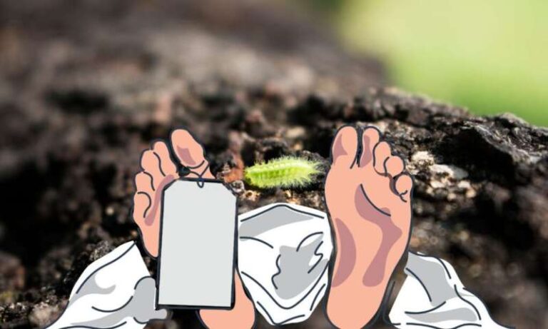 परिवार के साथ सो रहे अधेड़ को जहरीले कीडे ने काटा, हुई मौत परिवार के साथ सो रहे अधेड़ को जहरीले कीडे ने काटा, हुई मौत