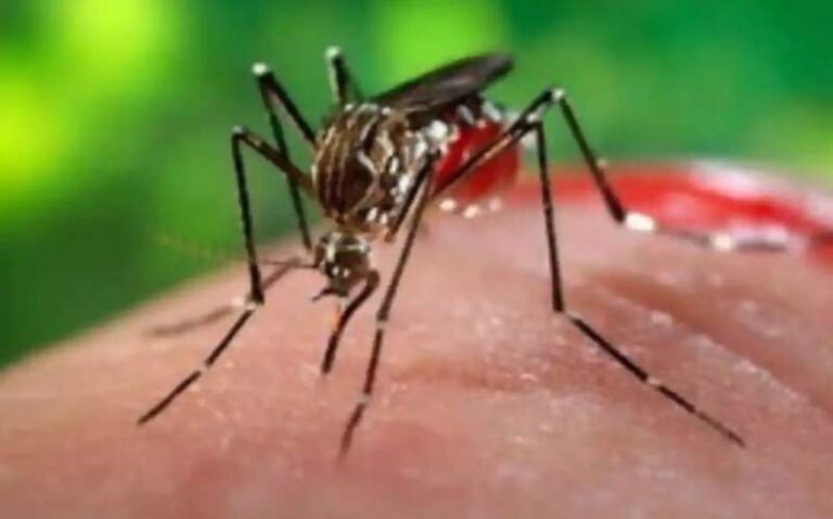 श्रीलंका में डेंगू ने मारा डंक, अब तक 19 लोगों की मौत