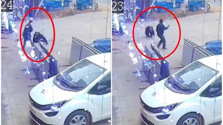 कांकेर में भालुओं का आतंक: बीच-बाजार में युवक पर किया हमला कांकेर में भालुओं का आतंक: बीच-बाजार में युवक पर किया हमला