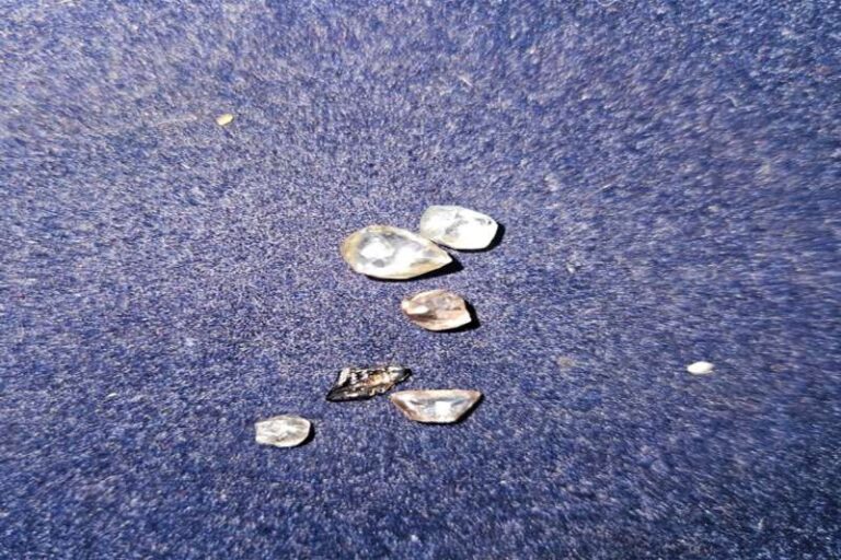 भाई बहन की चमकी किस्मत: खदान से मिला हीरो का उपहार, दिसंबर में होगी नीलामी