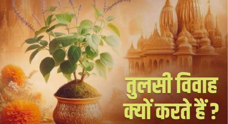 इस साल तुलसी विवाह कब है?