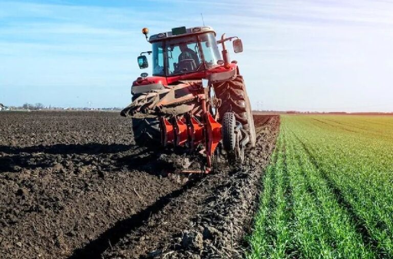  रबी सीजन में धान बोने पर कार्रवाई की धमकी दे रहे अफसर, आदेश का करेंगे विरोध – पूर्व प्रदेश अध्यक्ष धनेंद्र साहू