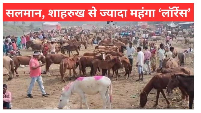 गधों के मेला भी ‘लॉरेंस’ का भौकाल, ‘सलमान’ का भाव है फुस्स, मुगलकाल से जुड़ा है इतिहास