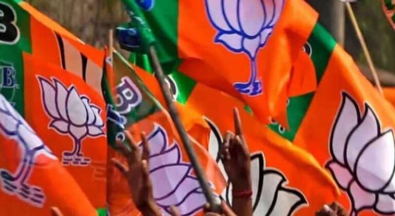 झारखंड चुनाव में BJP का परिवारवाद का दांव: कुछ जगहों पर मिली जीत, कुछ जगहों पर मिली हार