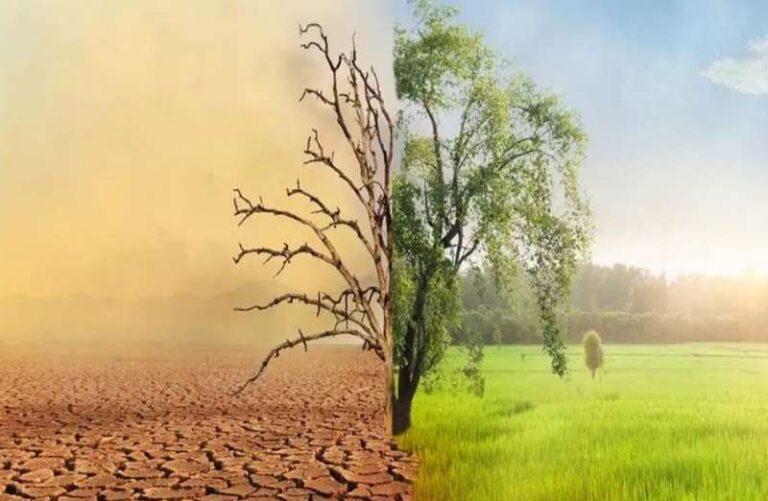 देश में जलवायु परिवर्तन का बढ़ा असर, 3,000 से ज्यादा मौतें और 2 लाख से अधिक घरों का नुकसान