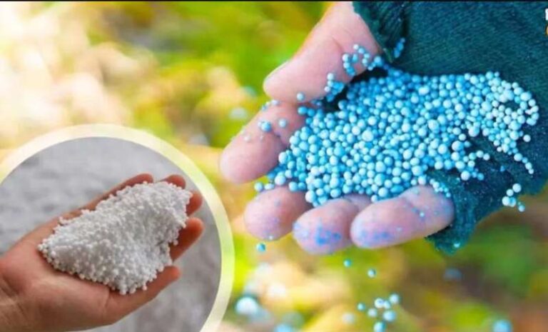 खाद से तय होगी उपचुनाव में हार-जीत ! खाद से तय होगी उपचुनाव में हार-जीत !