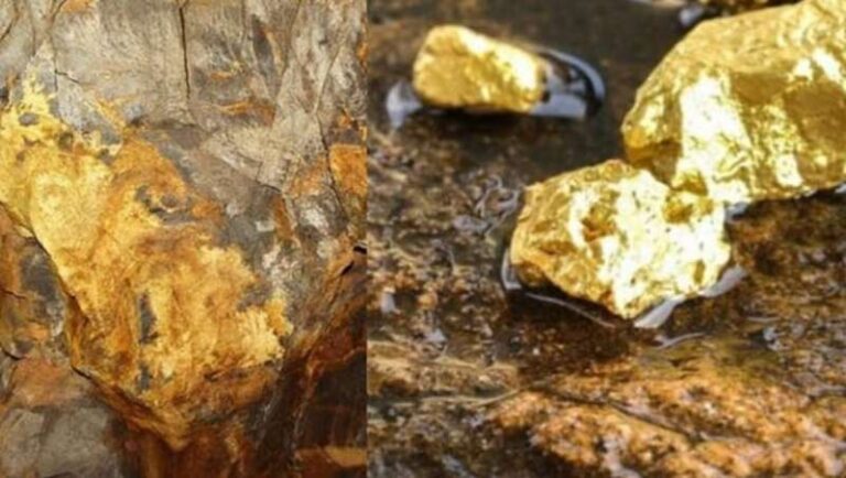 चीन को मिला सोने का भंडार, सैकड़ों अरब रुपए आंकी गई कीमत चीन को मिला सोने का भंडार, सैकड़ों अरब रुपए आंकी गई कीमत