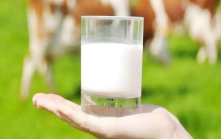 भारत का दूध उत्पादन में 4 फीसदी की बढ़ोत्तरी, 239.3 मिलियन टन रहा 