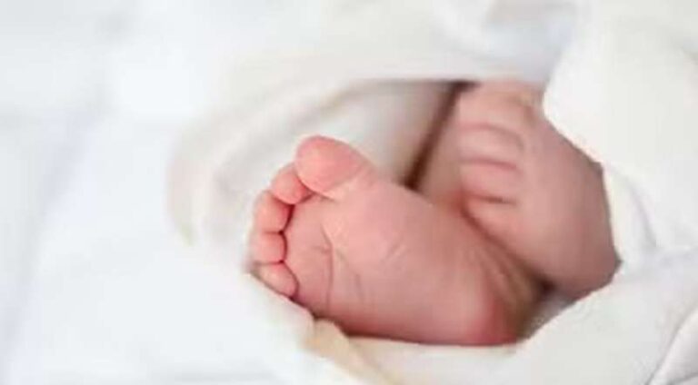 मैदान में लावारिस पड़े नवजात के शव को नोंच रहा था कुत्ता, बच्चों ने शोर मचाकर छुड़ाया…