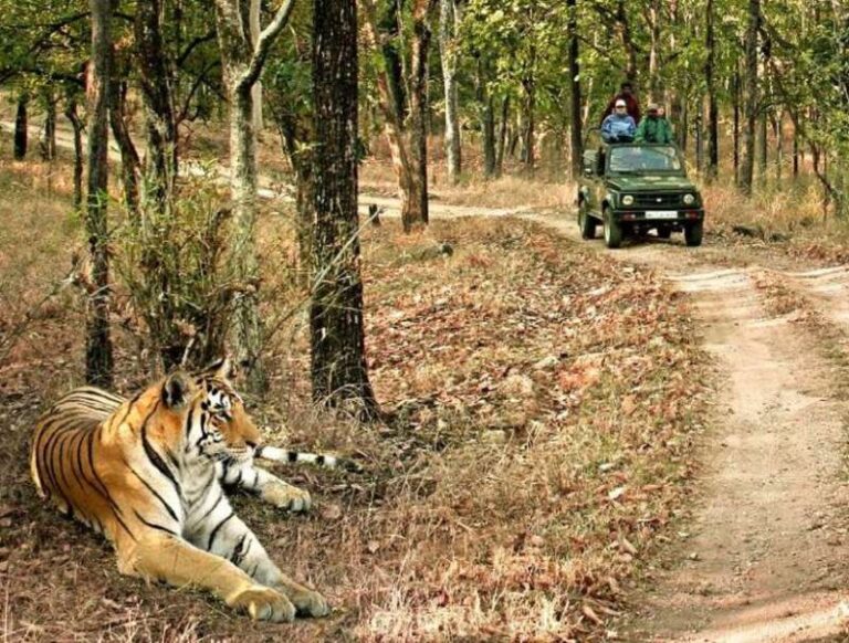 एमपी गो-टू ग्लोबल डेस्टिनेशन्स फॉर-2025 में शामिल एमपी गो-टू ग्लोबल डेस्टिनेशन्स फॉर-2025 में शामिल