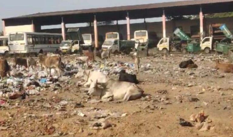 साढ़े आठ करोड़ का सिटी बस टर्मिनल डिपो कबाडग़ंज में तब्दील, कही कबाड़ तो कही कचरा पूरा परिसर पड़ा रनभन साढ़े आठ करोड़ का सिटी बस टर्मिनल डिपो कबाडग़ंज में तब्दील, कही कबाड़ तो कही कचरा पूरा परिसर पड़ा रनभन