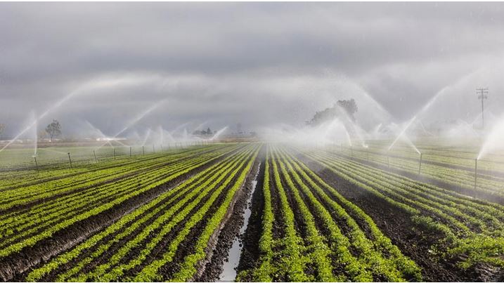 सिंचाई के क्षेत्र में मध्यप्रदेश ने वर्ष 2024 में लिखा नया अध्याय सिंचाई के क्षेत्र में मध्यप्रदेश ने वर्ष 2024 में लिखा नया अध्याय