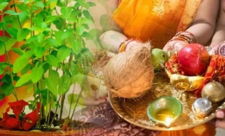 तुलसी पूजन और गो सेवा से रहेंगे रोग दूर