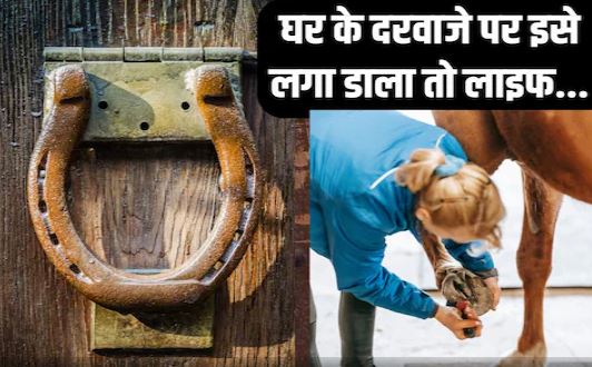 बिना किसी के टोके चुपके से दरवाजे पर लगा दें ये चीज, जीवन में होगा बड़ा चमत्कार, दौलत से भर जाएगी तिजोरी! बिना किसी के टोके चुपके से दरवाजे पर लगा दें ये चीज, जीवन में होगा बड़ा चमत्कार, दौलत से भर जाएगी तिजोरी!