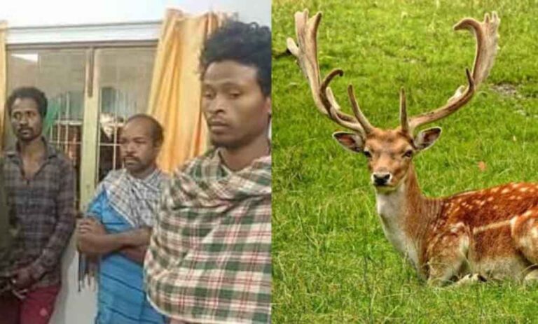 छत्तीसगढ़-जगदलपुर में ग्रामीणों ने हिरण का किया शिकार, जंगल में ही पार्टी करते पांच लोग गिरफ्तार