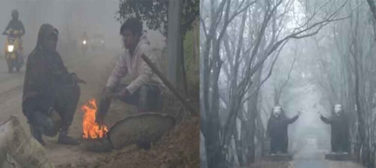 छत्तीसगढ़-गौरेला पेंड्रा मरवाही में घने कोहरे के कारण घटी विजिबिलिटी, वाहनों की थमी रफ्तार