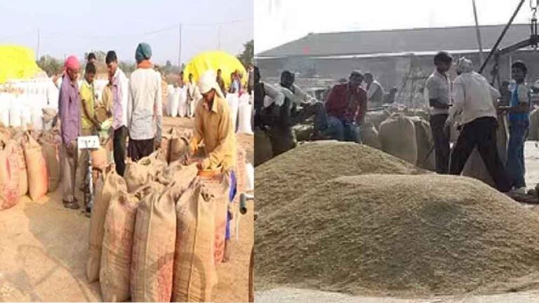छत्तीसगढ़-रायपुर में अब तक 45.78 लाख मीट्रिक टन धान की खरीदी, व्यवस्था को लेकर मॉनिटरिंग जारी छत्तीसगढ़-रायपुर में अब तक 45.78 लाख मीट्रिक टन धान की खरीदी, व्यवस्था को लेकर मॉनिटरिंग जारी