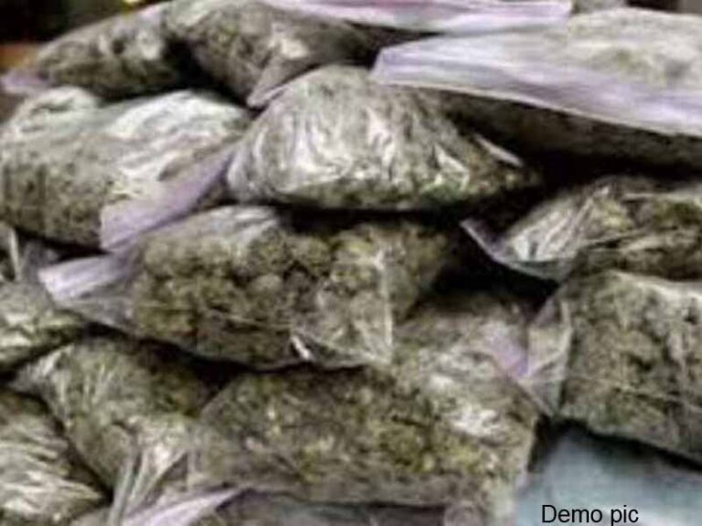 जूटमिल पुलिस ने रावण आटो दुकान में छापेमारी कर 310 पाउच गांजा के साथ महिला गिरफ्तार जूटमिल पुलिस ने रावण आटो दुकान में छापेमारी कर 310 पाउच गांजा के साथ महिला गिरफ्तार