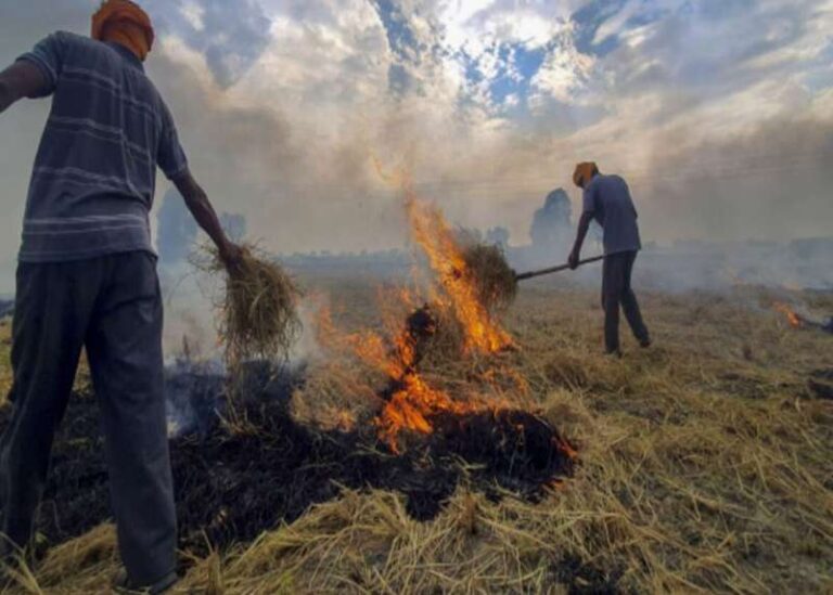 सबसे ज्यादा पराली मध्य प्रदेश में जली सबसे ज्यादा पराली मध्य प्रदेश में जली