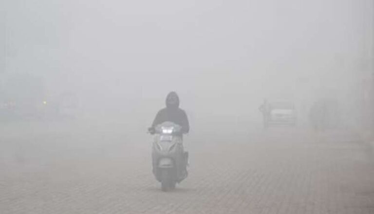 हरियाणा में ठंड ने पकड़ी रफ्तार, हिसार और अंबाला में न्यूनतम तापमान गिरा