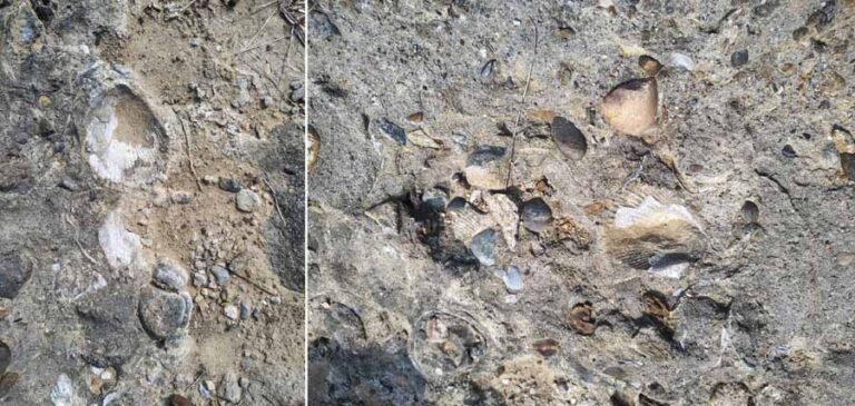 मनेंद्रगढ़ में बनेगा इतिहास और पुरातत्व में रुचि रखने वालों के लिए आकर्षण का केन्द्र मनेंद्रगढ़ में बनेगा इतिहास और पुरातत्व में रुचि रखने वालों के लिए आकर्षण का केन्द्र