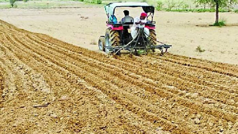 छत्तीसगढ़ में 17.46 लाख हेक्टेयर में रबी फसलों की बोनी