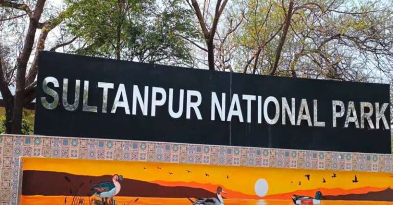 गुरुग्राम के सुल्तानपुर झील में अवैध निर्माणों पर कार्रवाई, वन्य जीव विभाग ने जारी किया नोटिस