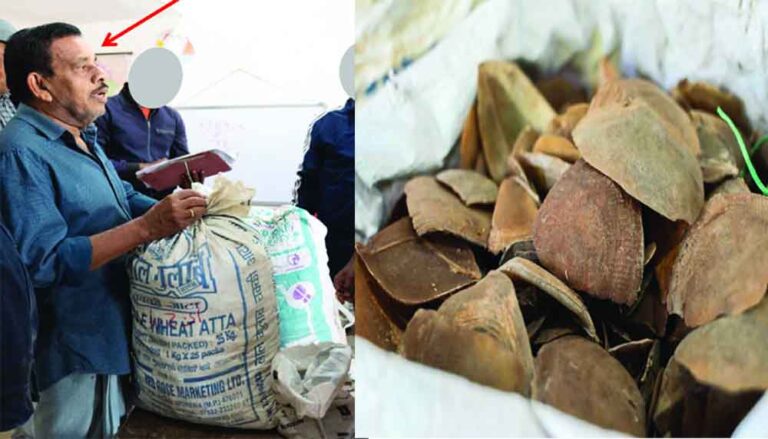 छत्तीसगढ़-जगदलपुर में तीन पेंगोलिन तस्कर पकड़ाए, 43 किलो स्केल्स बरामद छत्तीसगढ़-जगदलपुर में तीन पेंगोलिन तस्कर पकड़ाए, 43 किलो स्केल्स बरामद