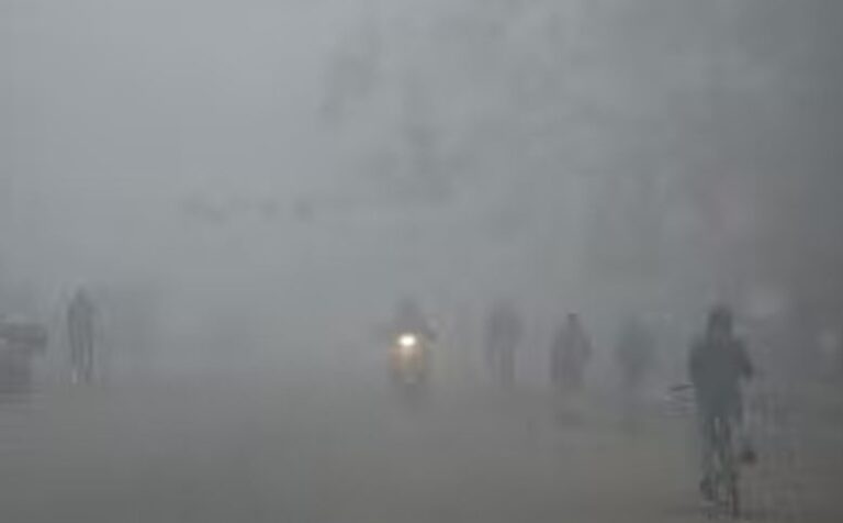 हरियाणा में सामान्य से अधिक तापमान, फसल पर असर का डर