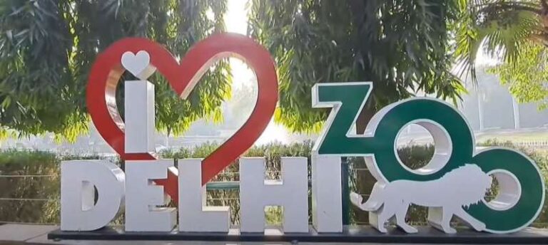 दिल्ली के राष्ट्रीय प्राणी उद्यान में 12 दिनों में तीन वन्यजीवों की मौत, प्रशासन ने  दिए जांच के आदेश