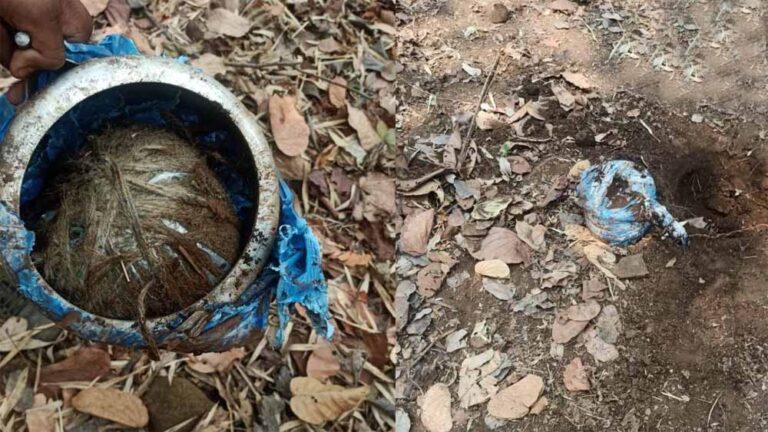 नक्सलियों की बड़ी साजिश  नाकाम,  5 किलो का प्रेशर कुकर IED बरामद,  जवानों ने किया डिफ्यूज