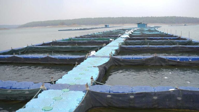 रायपुर : छत्तीसगढ़ के कोरबा जिले में बनेगा राज्य का पहला एक्वा पार्क