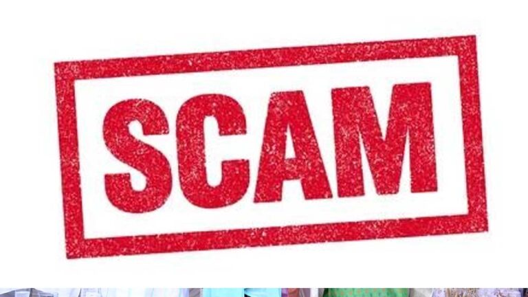 पटवारी का खेला, सुशासन तिहार पर लगाया दाग