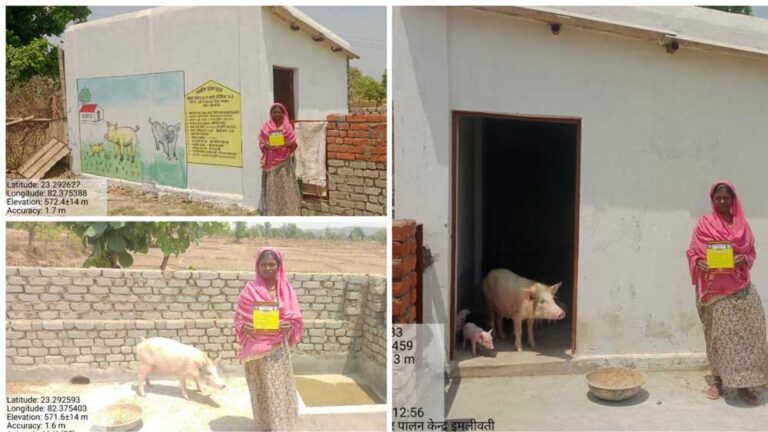 सूकर पालन और बाड़ी विकास एक साथ-नरेगा योजना का अभिनव पहल