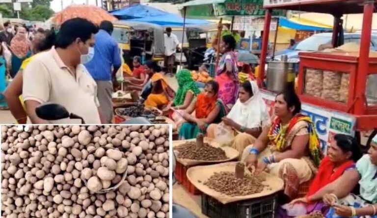 सबसे महंगी सब्जियों में शुमार छत्तीसगढ़ में रोड पर बिक रहा बोड़ा