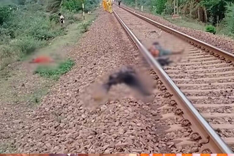 बालोद जिले में झारखंड से काम की तलाश में दल्लीराजहरा पहुंचे 2 मजदूरों की ट्रेन से कटकर मौत