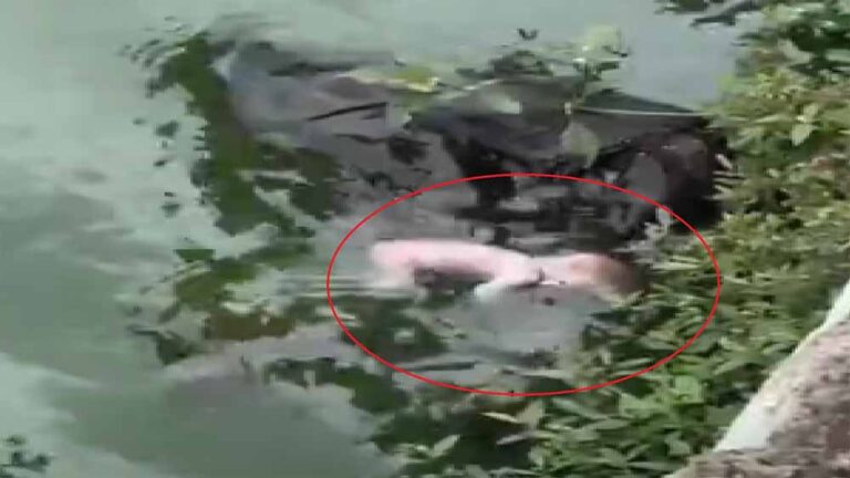 रायपुर में मानवता शर्मसार: तालाब में तैरता हुआ मिला नवजात का शव